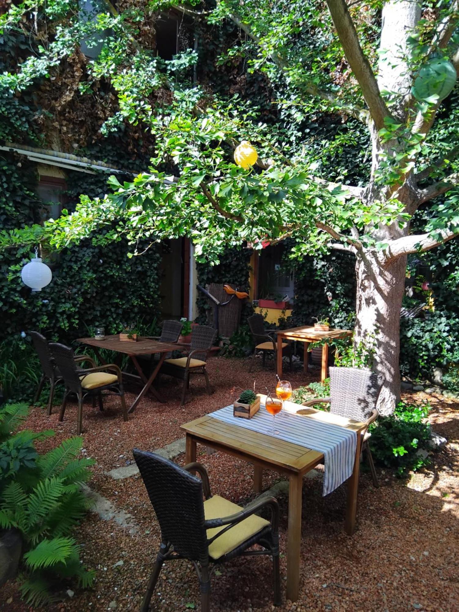 Hotel Zum Ginkgobaum Stadtilm Zewnętrze zdjęcie